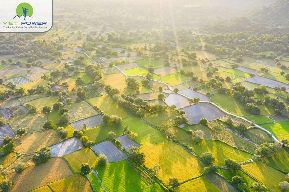 Ta Pa – Tri Ton in April (2)