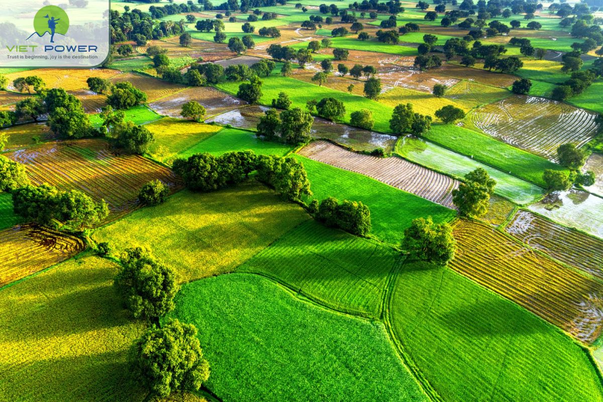 Ta Pa – Tri Ton in April (4)