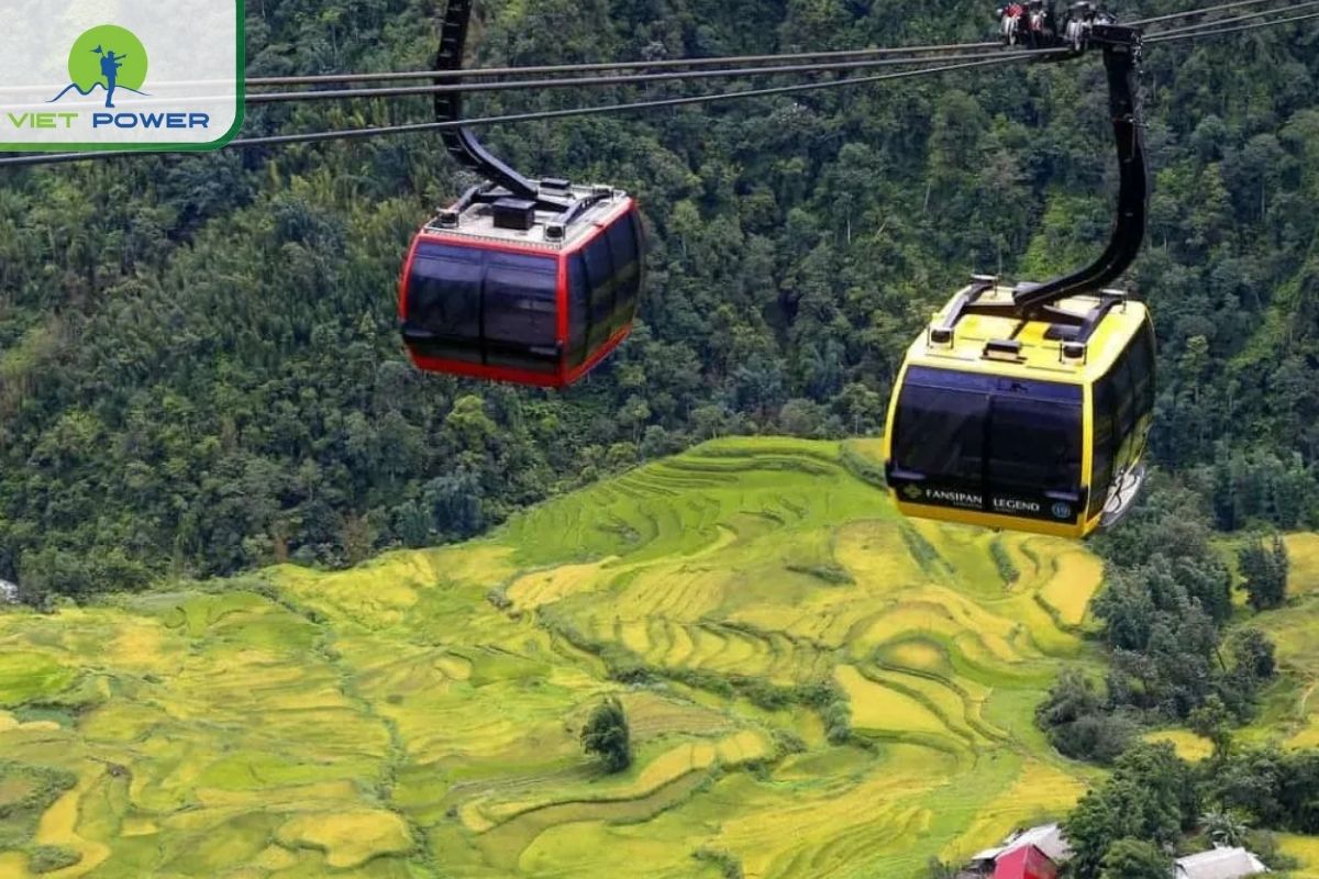 Top Spots to See Sapa Rice Fields Vietnam at Their Best