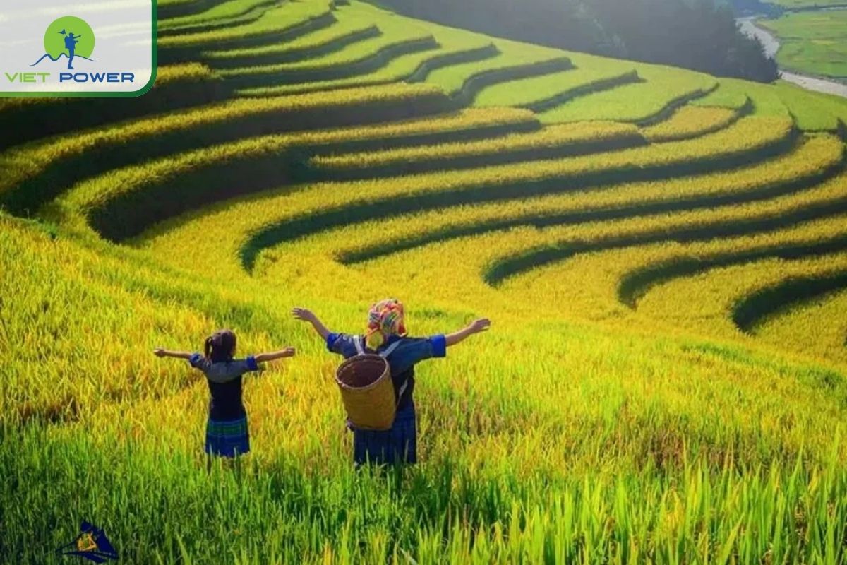 Practical Trekking Tips for Vietnamese Rice Paddies