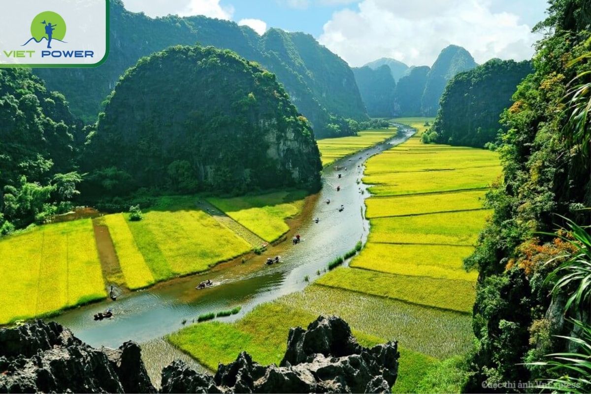 January: Cool & Misty Beginnings