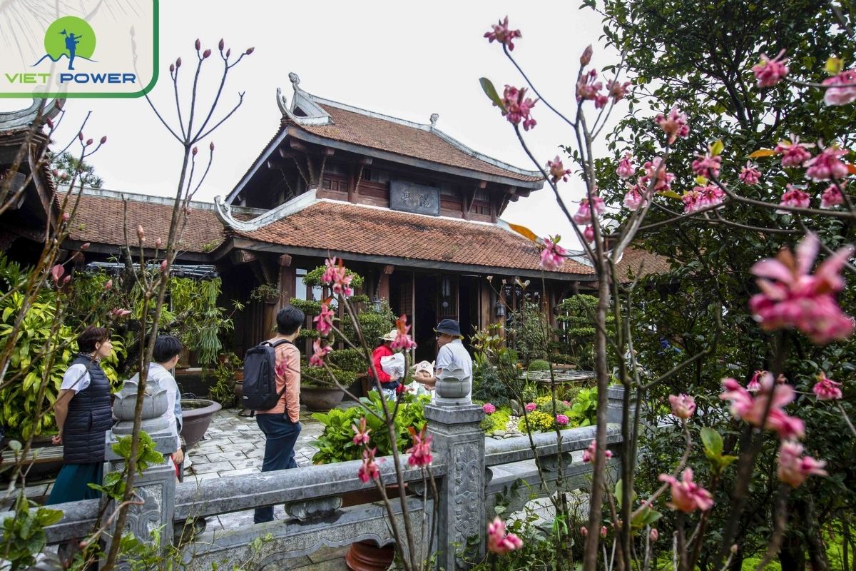 Explore Ba Na Hills & Bell Flower Season