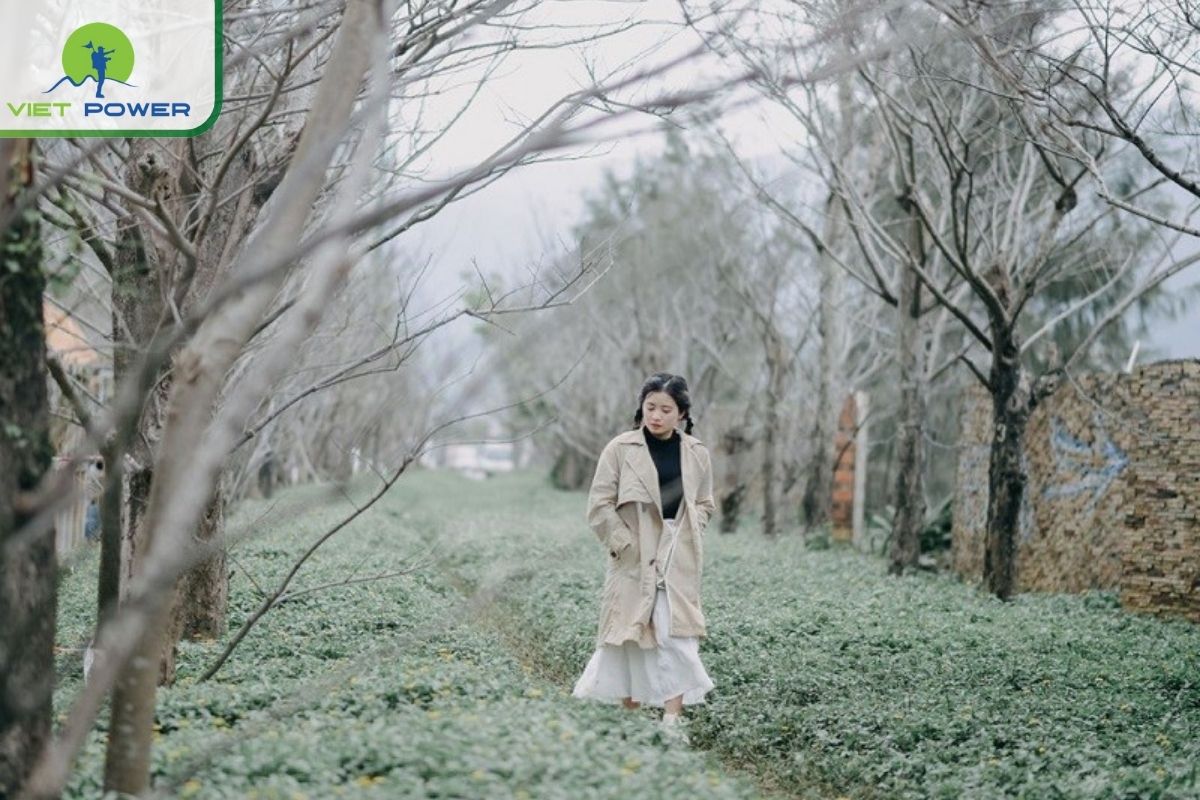 Overview of Da Nang Climate in November