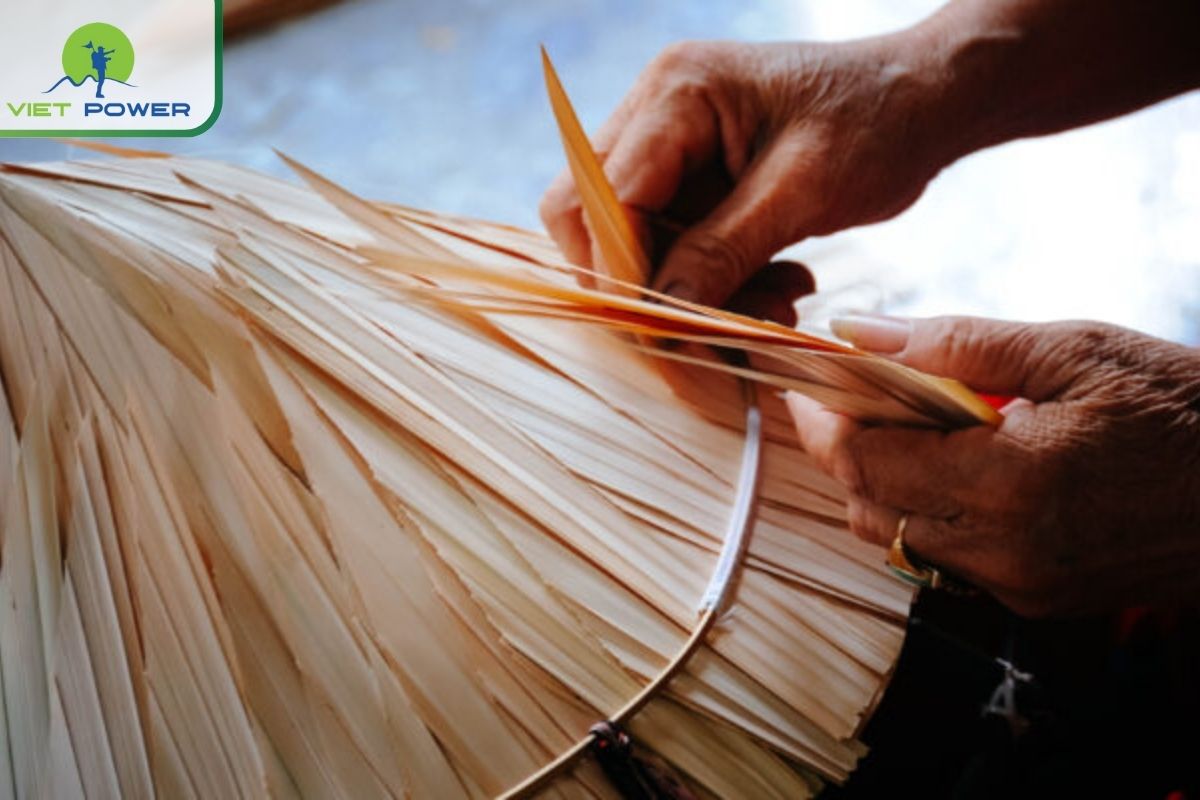 Thoi Tan Village – Can Tho