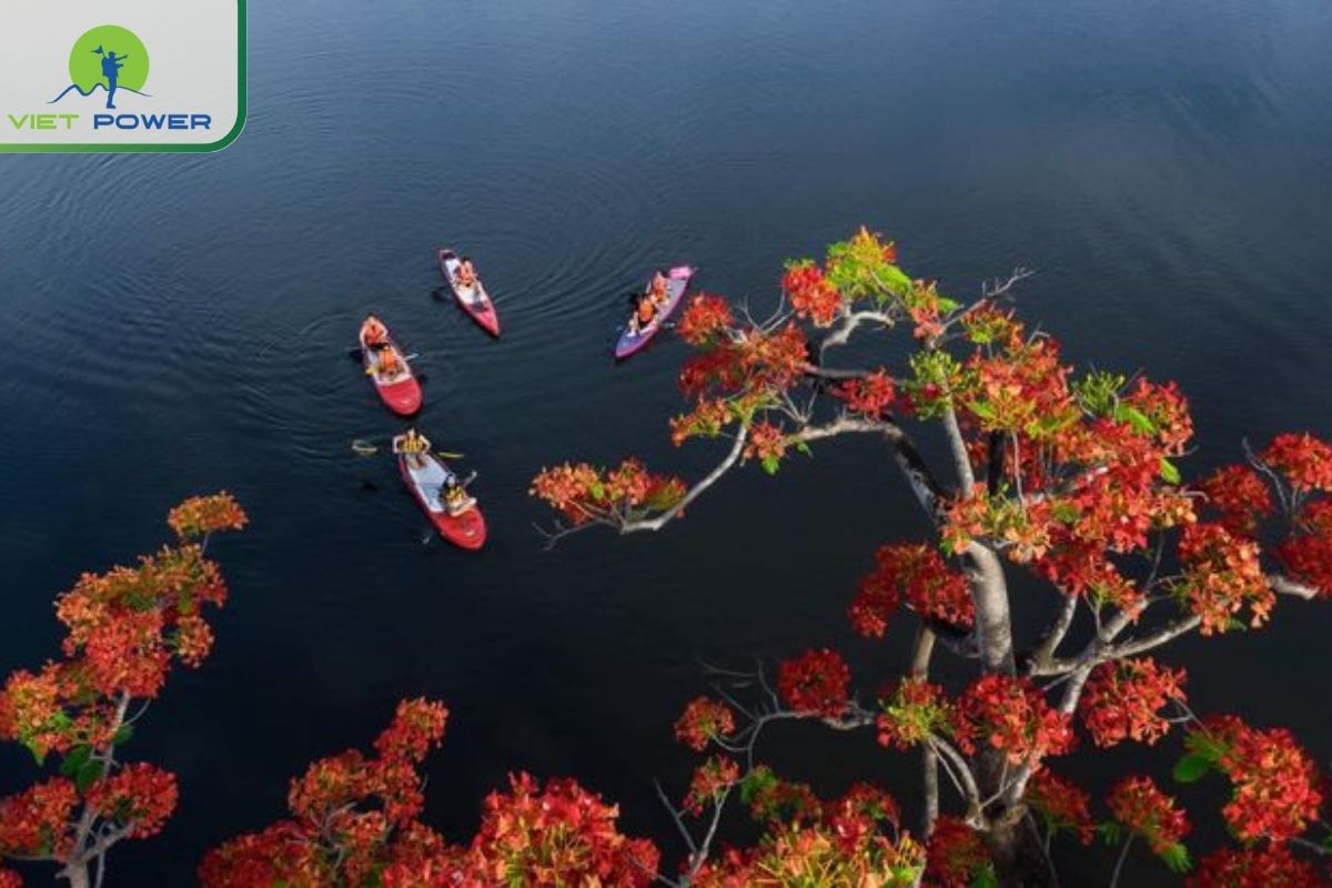 Summer (May – July)