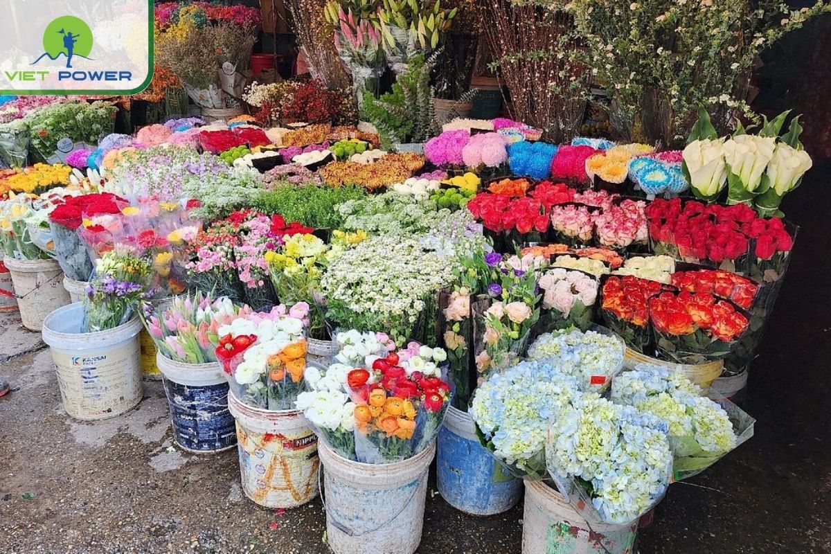  Visit Quang Ba Flower Market at 4 AM