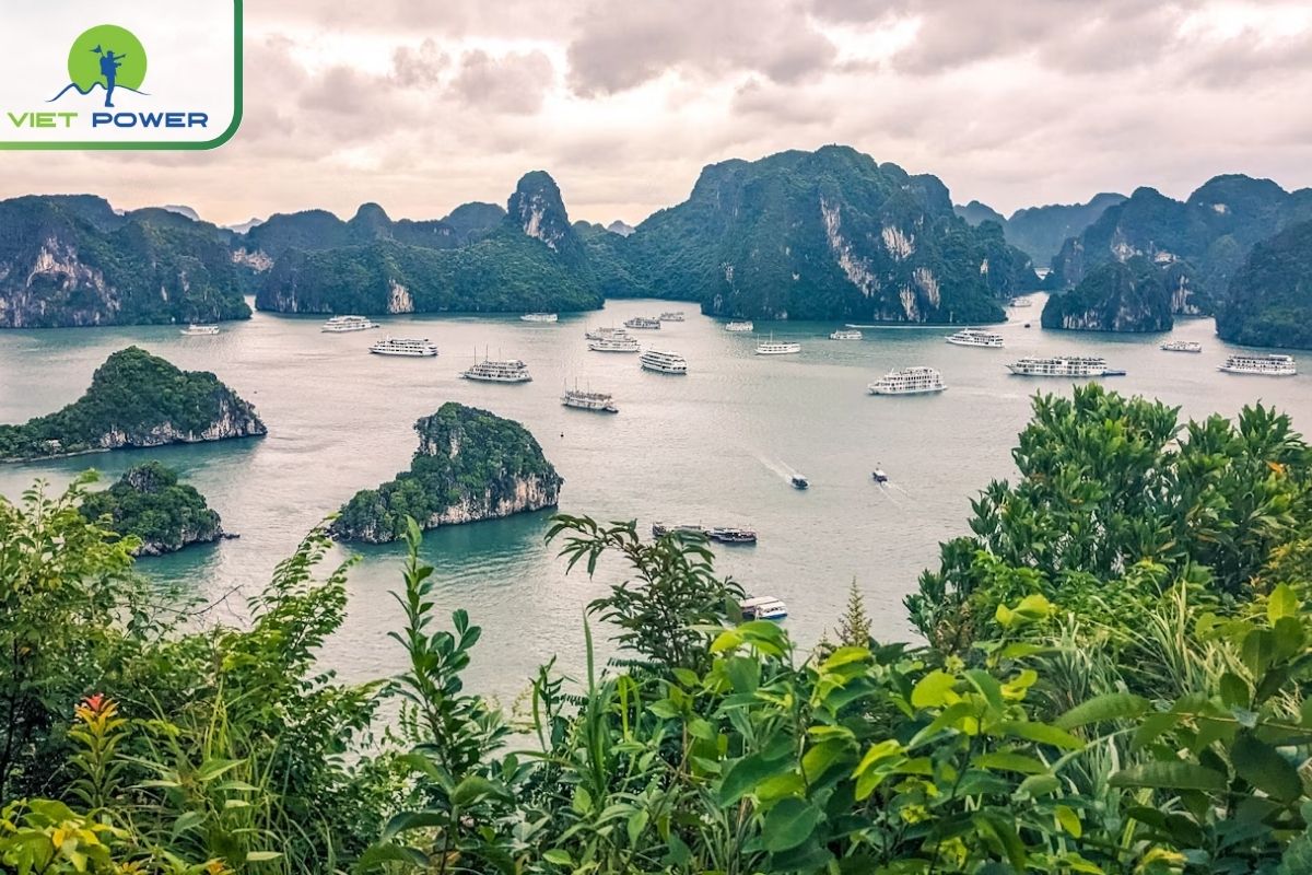 Halong Bay – UNESCO Wonder of Karst & Sea