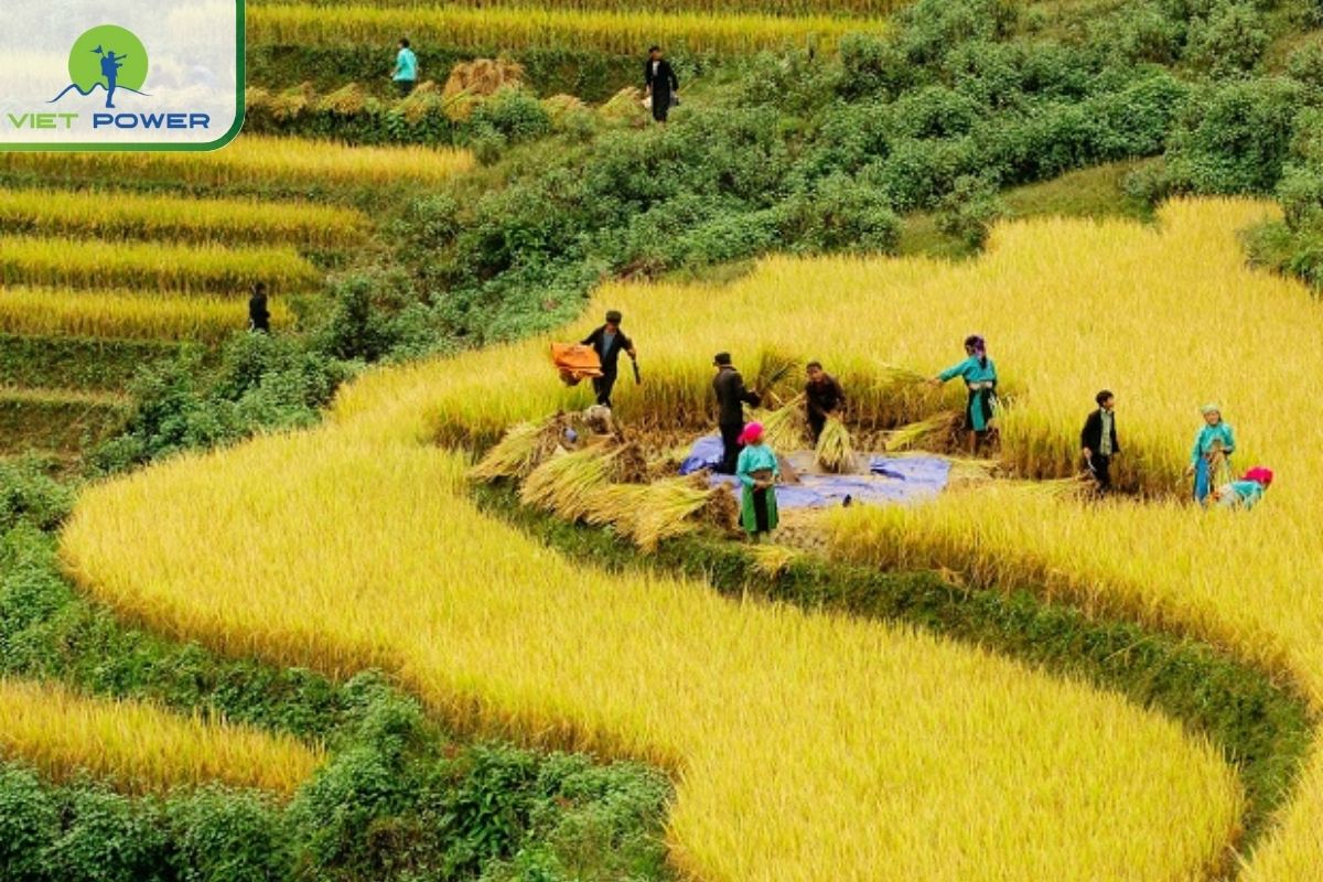 For Cultural Trekkers: Y Linh Ho – Hau Thao – Ta Phin