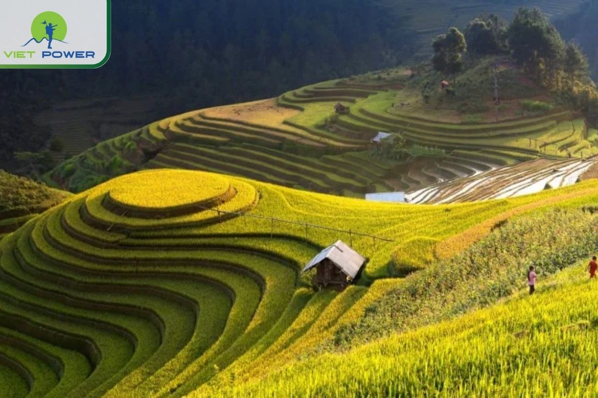 Flycam Tips from Local Guides