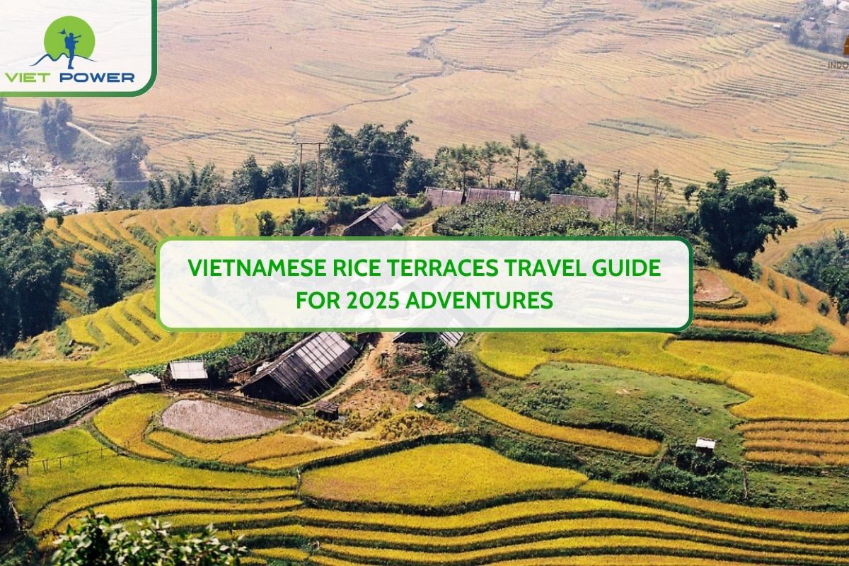 Vietnamese Rice Terraces Travel Guide for 2025 Adventures