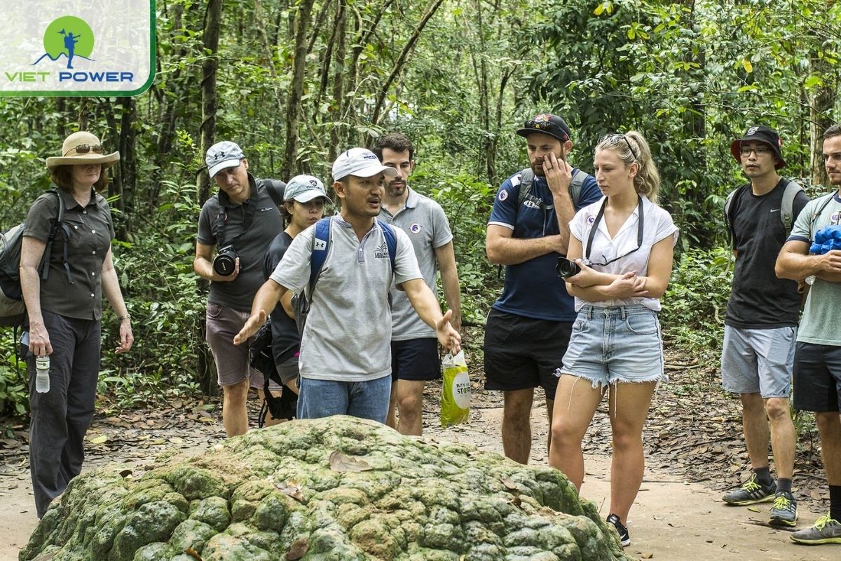 Educational Value for Students, Veterans, and History Buffs