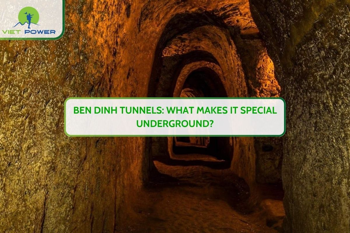 Ben Dinh Tunnels: What Makes It Special Underground?
