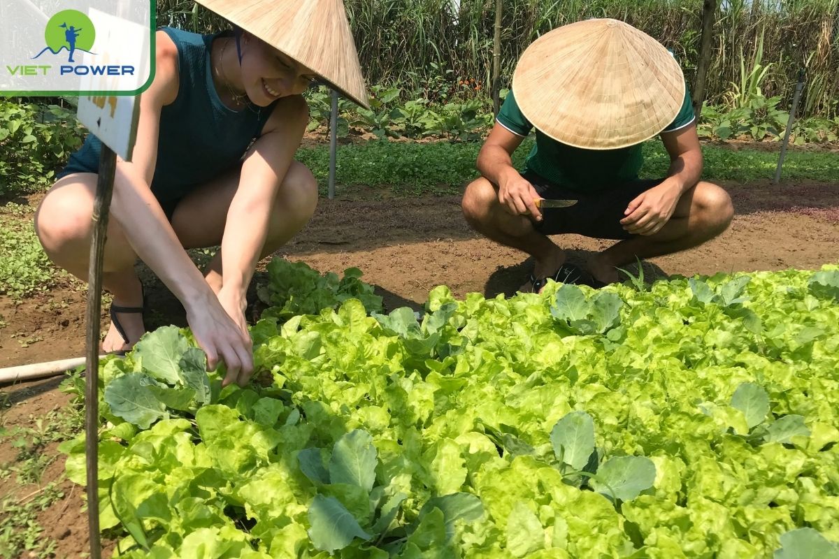 Visit Local Farms & Organic Gardens