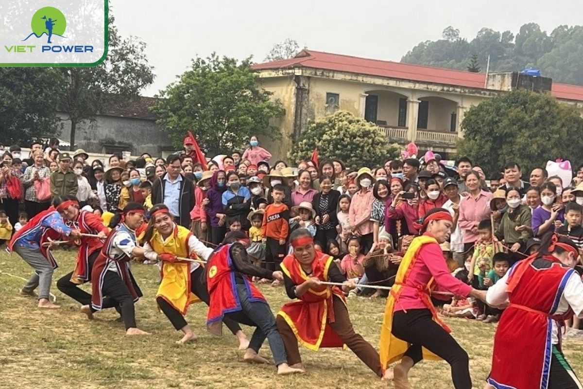 Kéo Co – Tug of War with a Roar