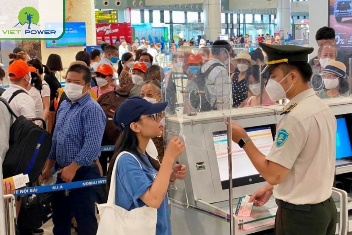 Understanding the Visa Status Results