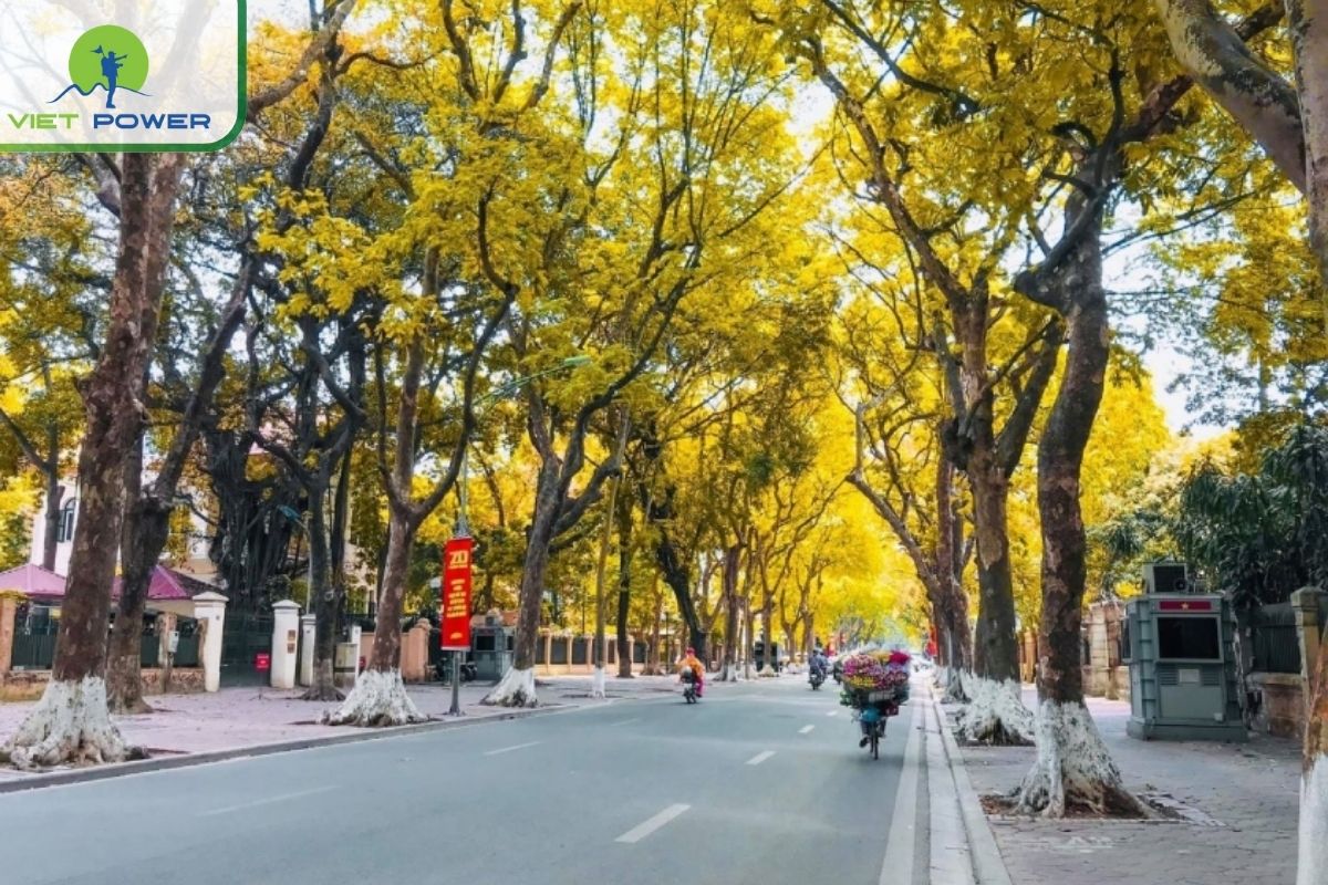 North Vietnam (Hanoi, Sapa, Ha Giang)