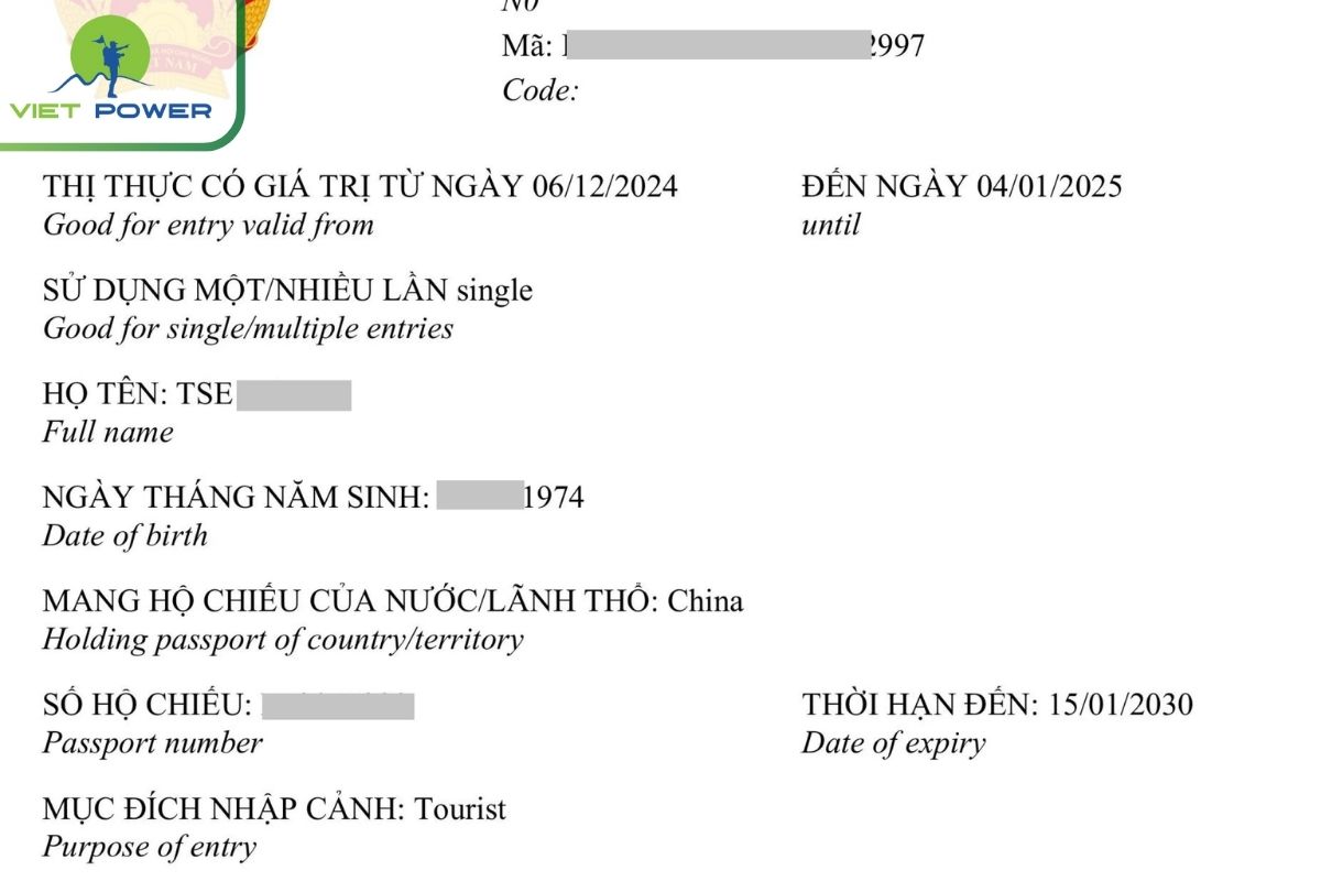 How to Apply for Vietnam Business E-Visa (If Applicable in 2025)