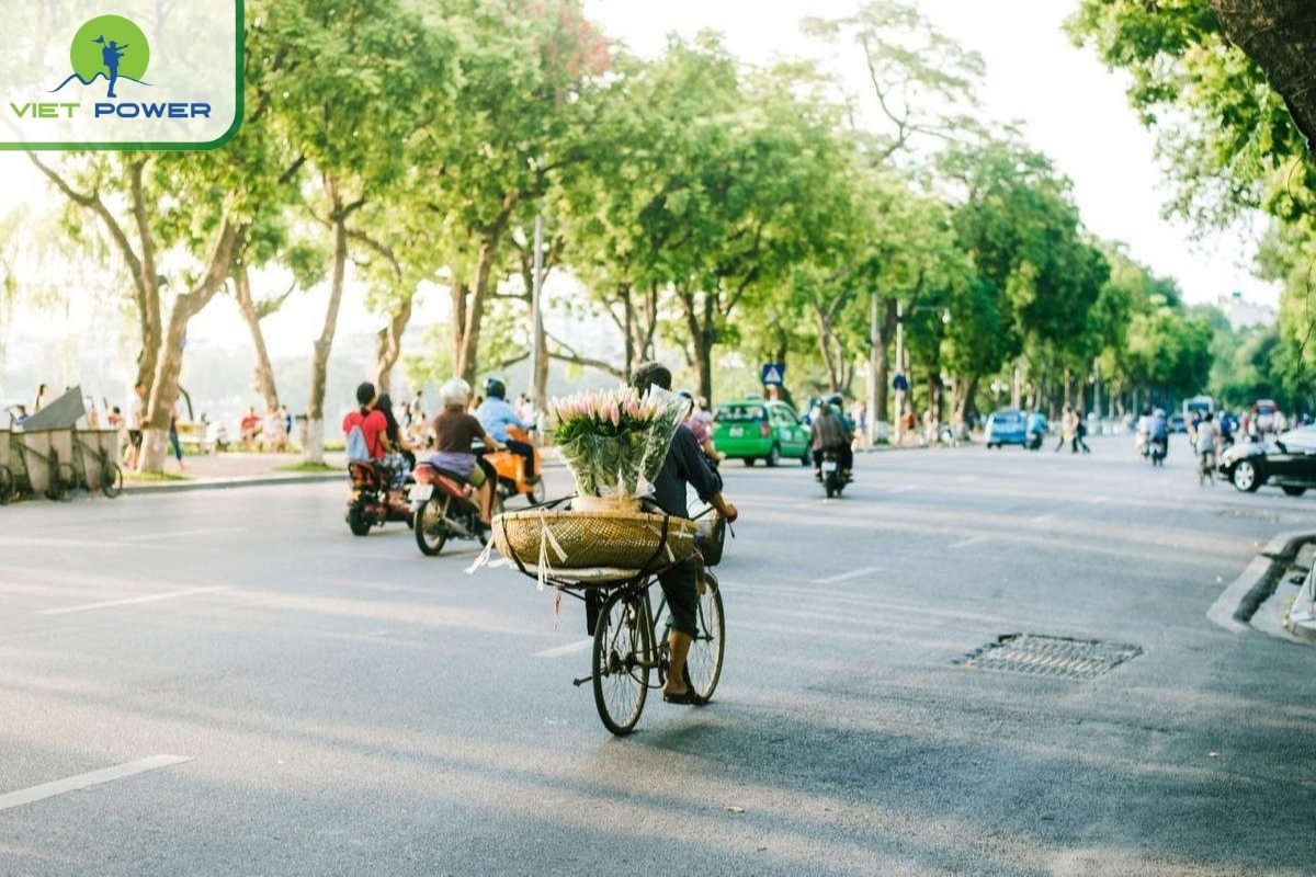 Cherry blossoms in Hanoi and walks around West Lake