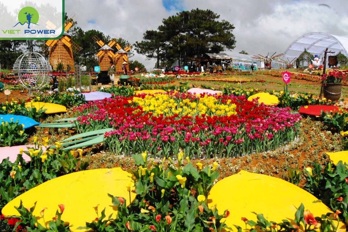 Flower Festival in Da Lat