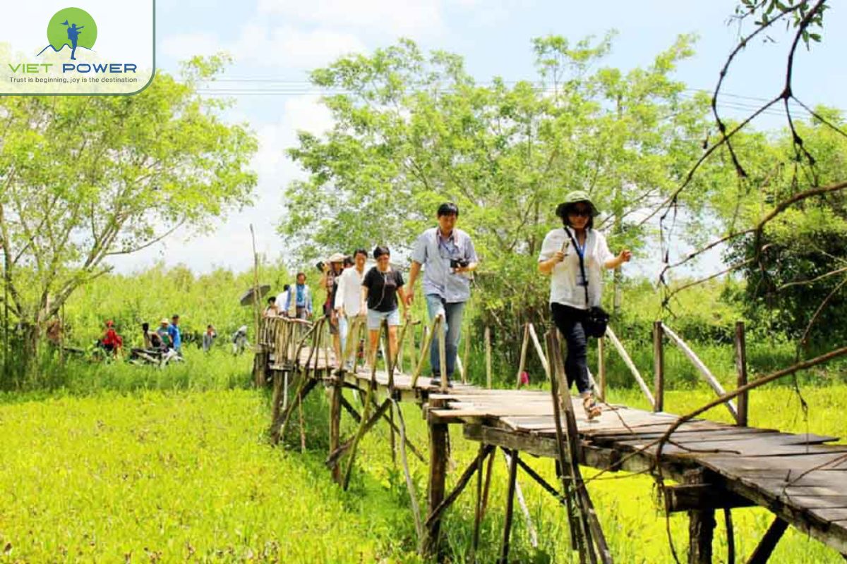 Trekking Trails in U Minh Forest