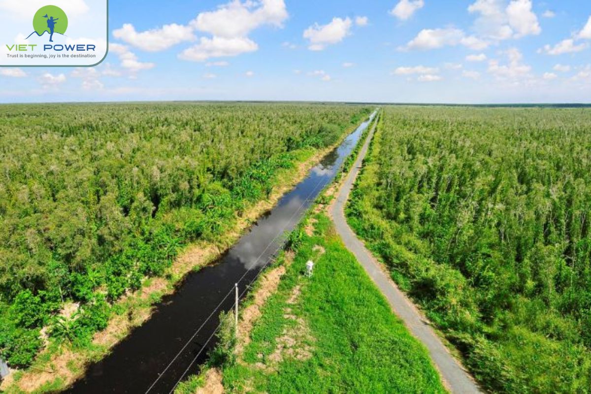 U Minh Ha The Living Forest