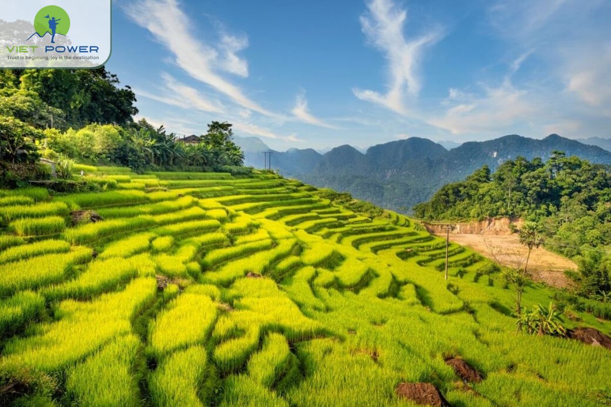 Unique Attractions in June