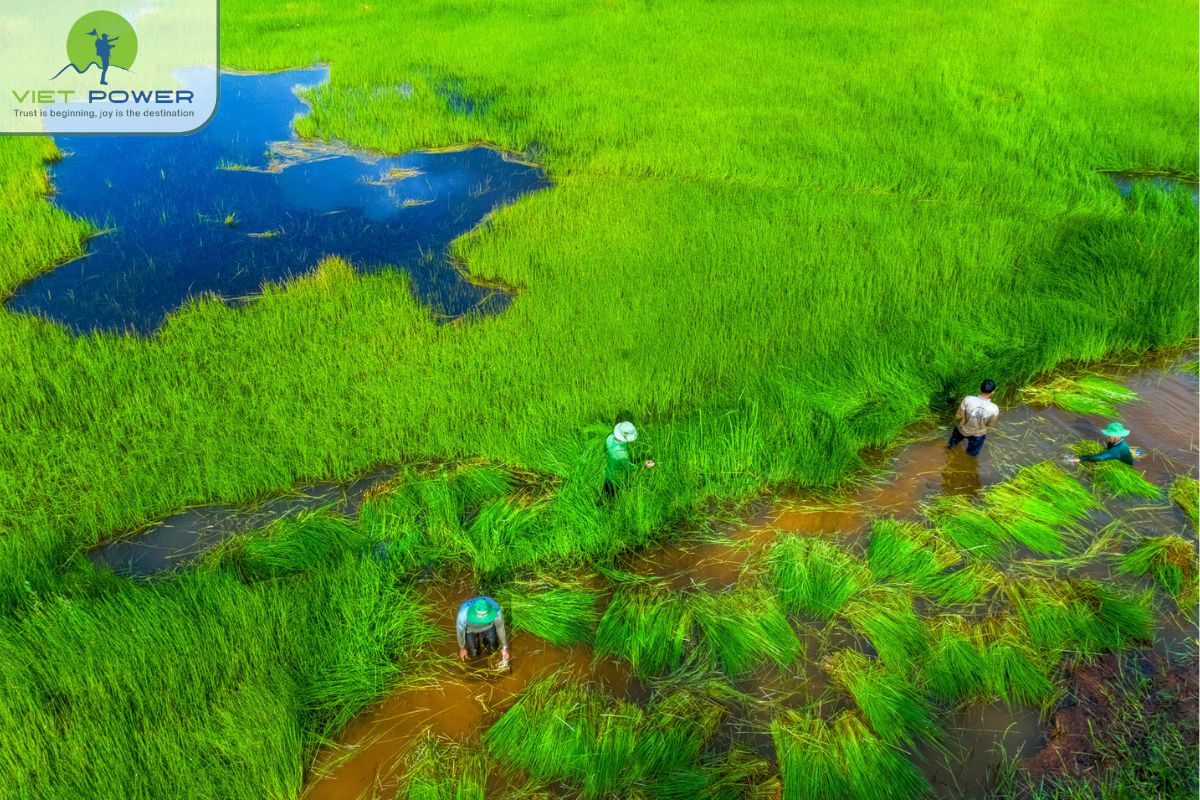 Unique flooded grassland ecosystem