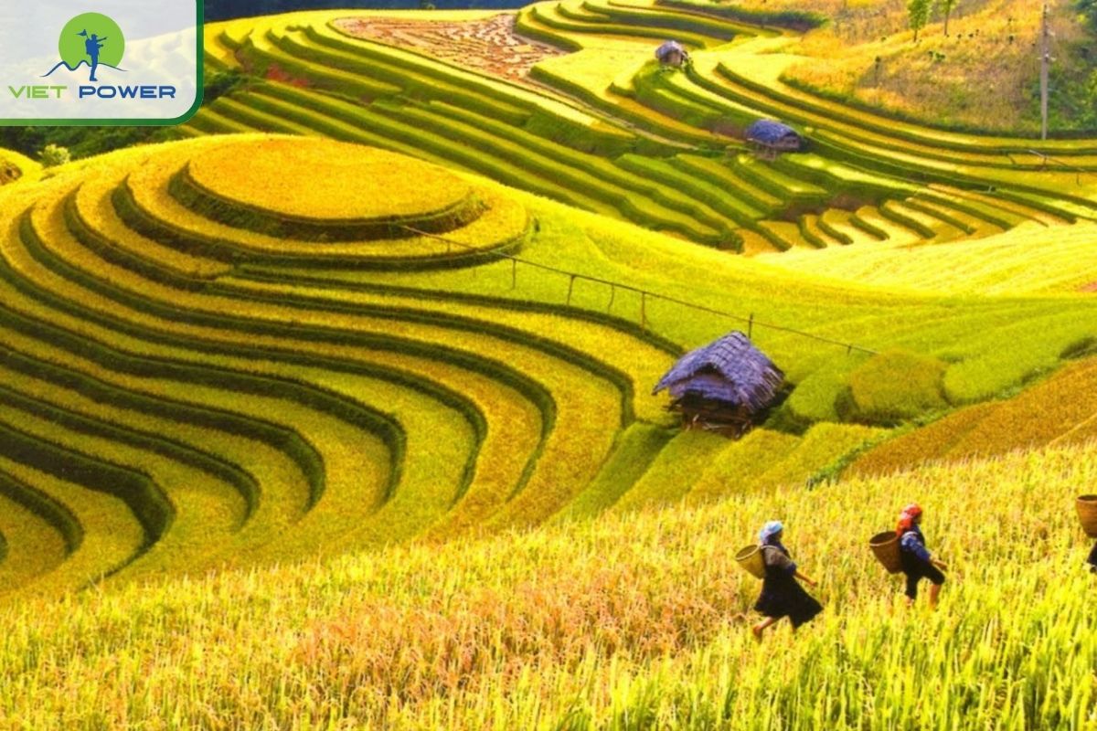 Top 10 Vietnam Countryside Destinations Must Visit 2024: Sapa.