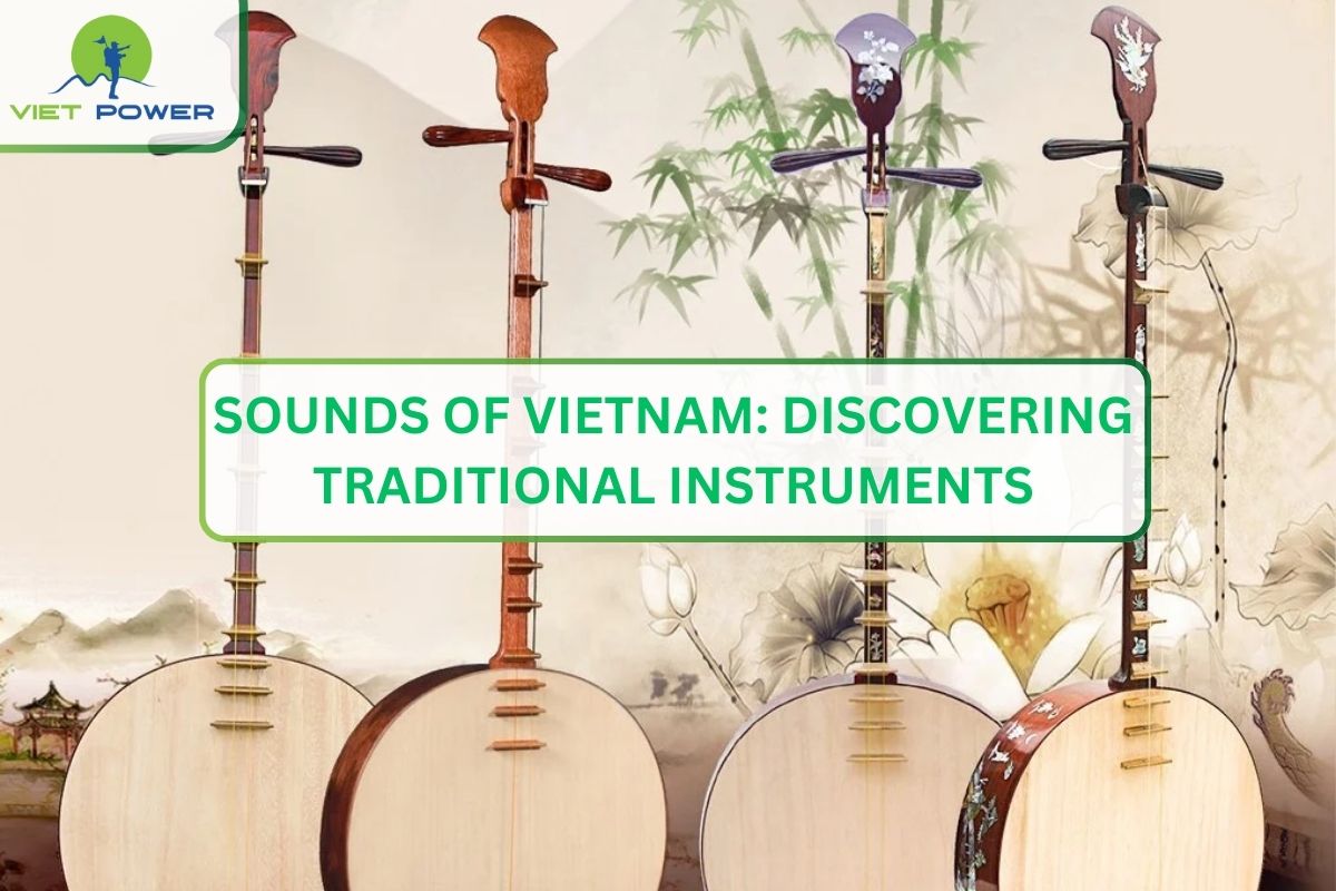 Sounds of Vietnam: Discovering Traditional Instruments