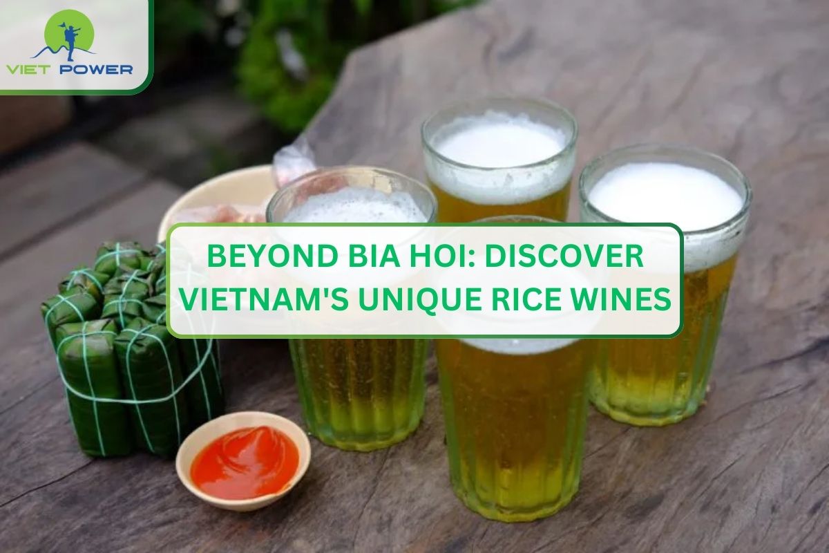 Beyond Bia Hoi: Discover Vietnam Unique Wine
