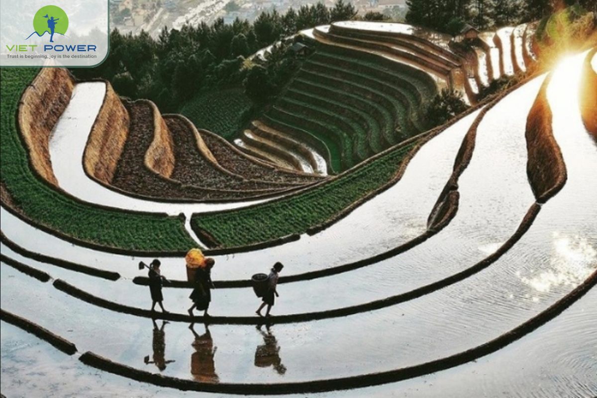 Weather and Trail Conditions