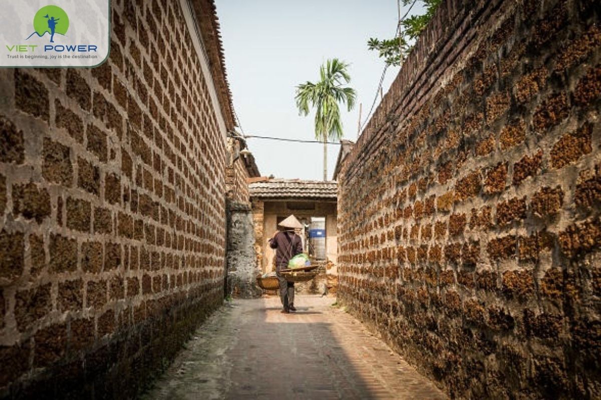 What Makes Duong Lam Special (4)