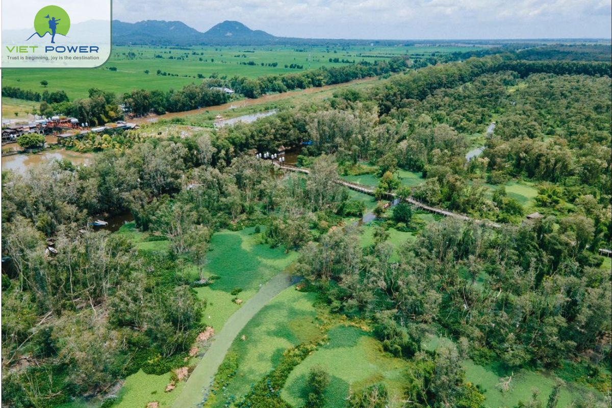 Tra Su Cajuput Forest