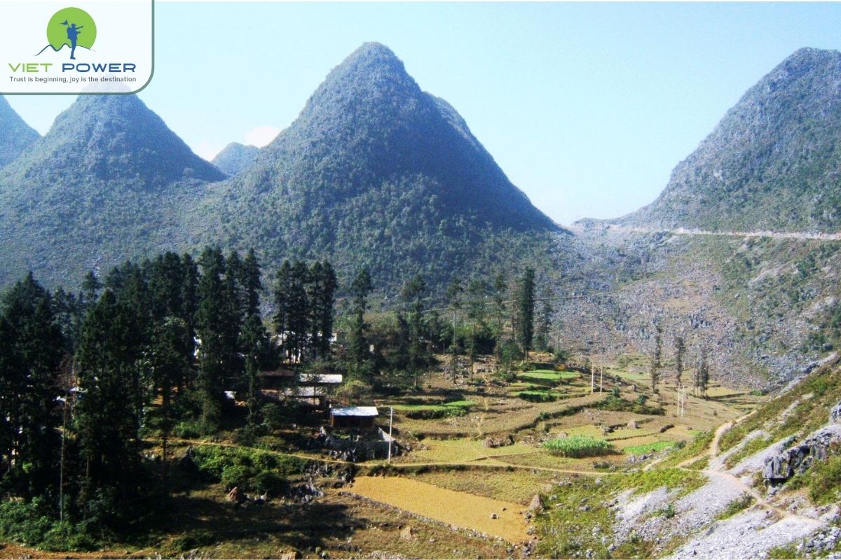 Where is Dong Van Old Quarter located