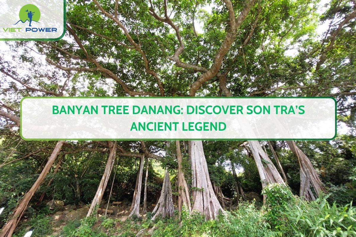 Banyan Tree Danang: Discover Son Tra’s Ancient Legend