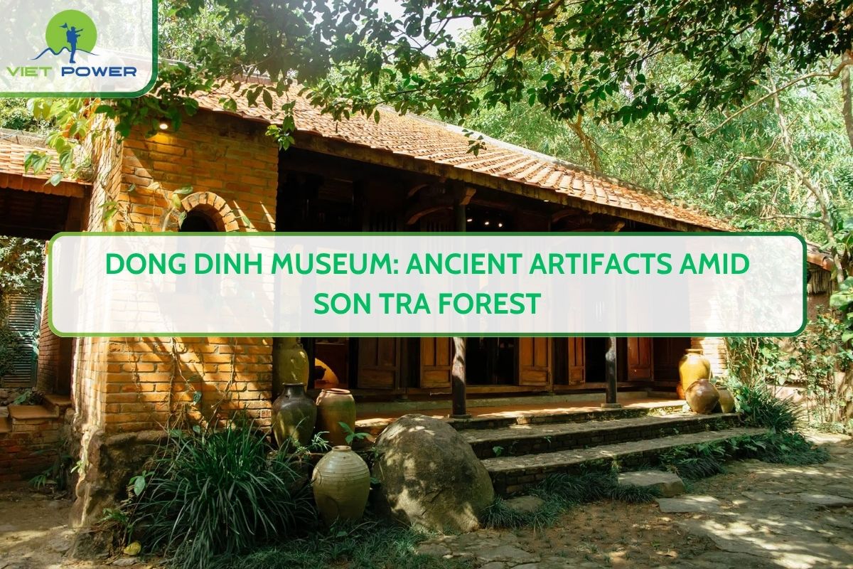 Dong Dinh Museum: Ancient Artifacts Amid Son Tra Forest