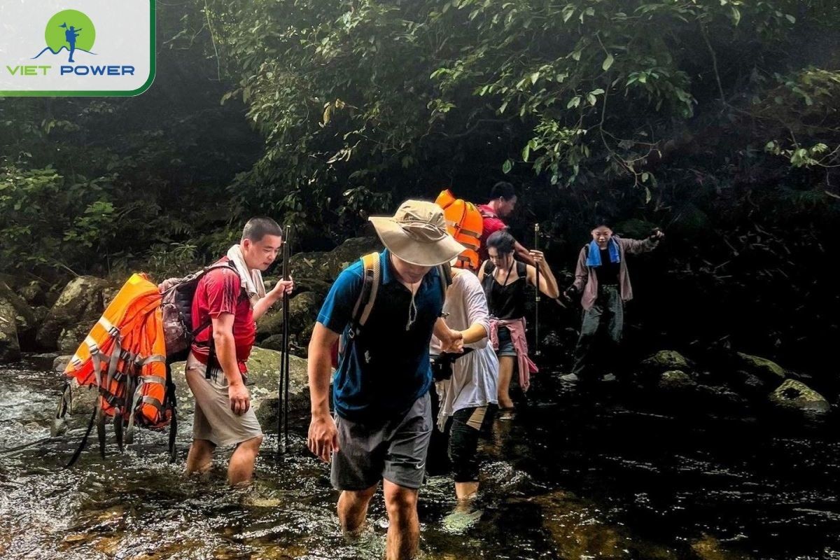 Hiking Primitive Forest Trails at Son Tra Peninsula