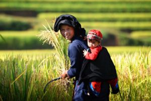 Reaching Out Popular Tourist Destinations in Viet Nam in 10 Days