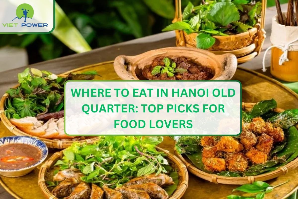 Where to Eat in Hanoi Old Quarter: Top Picks for Food Lovers
