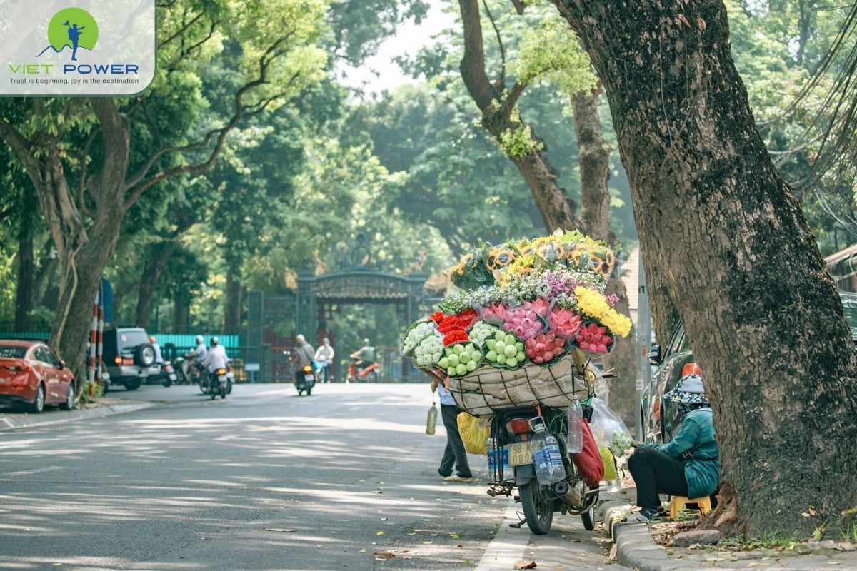 winter-in-hanoi (5)