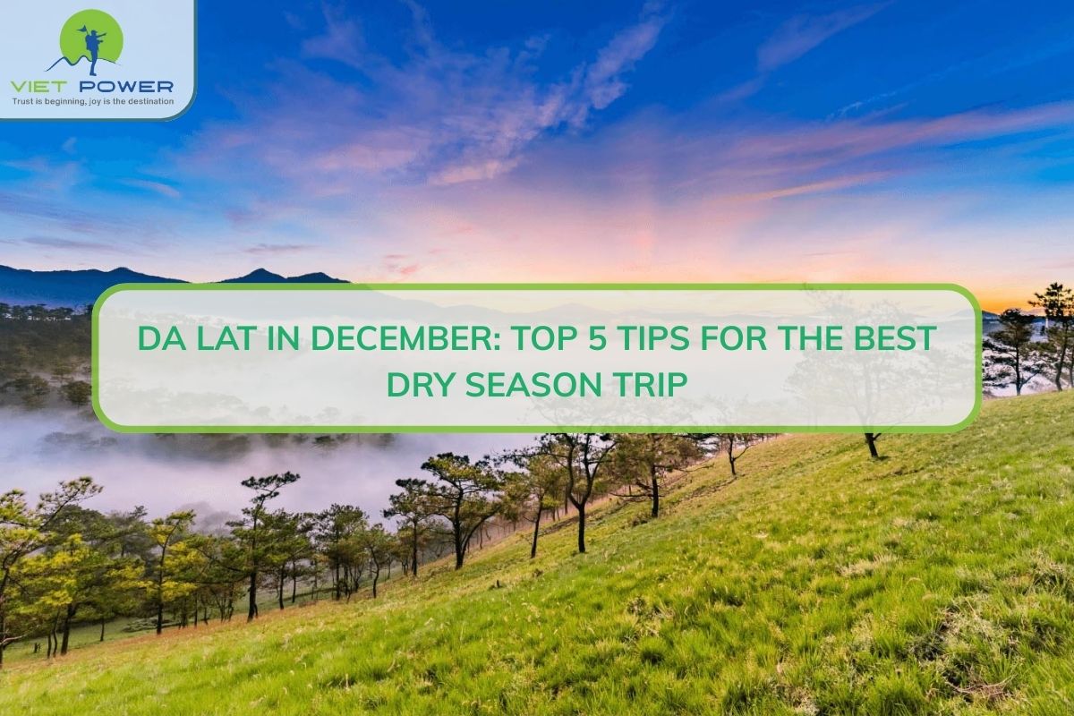 Da Lat In December: Weather Tips & Top 5 Things To Do