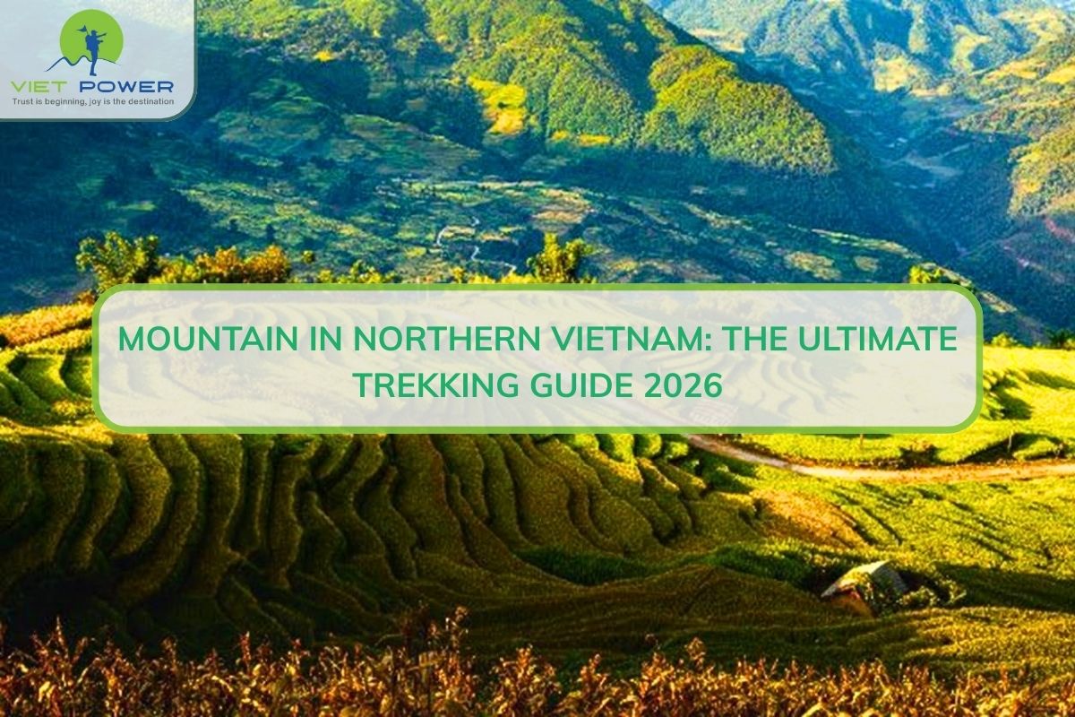 Mountain In Northern Vietnam: The Ultimate Trekking Guide 2026