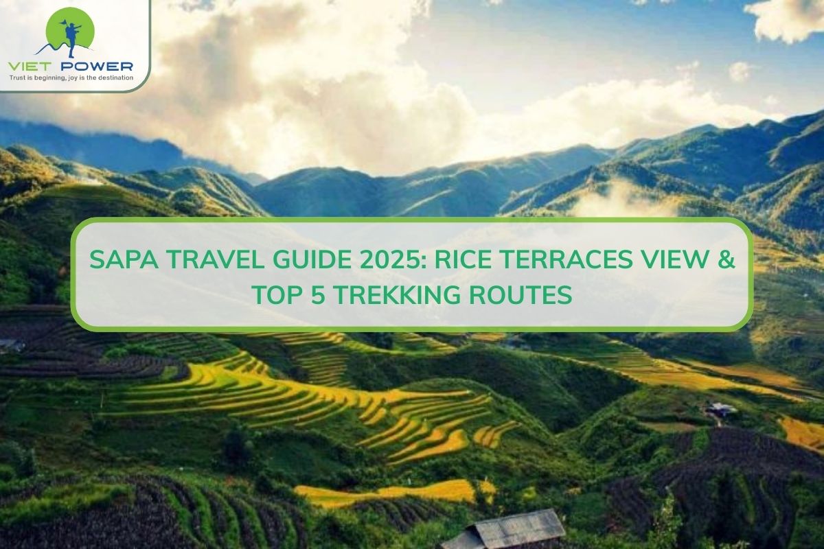 Sapa Travel Guide 2025: Rice Terraces View & Top 5 Trekking Routes