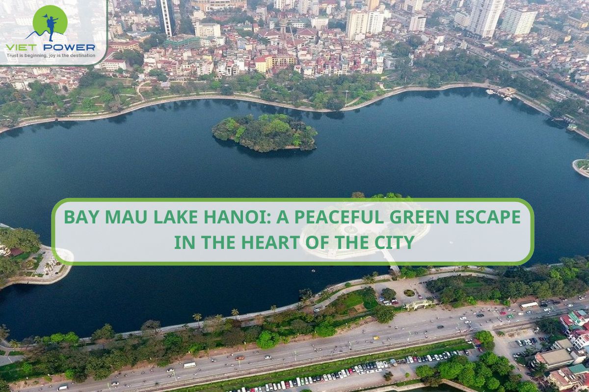 Bay Mau Lake: A Peaceful Green Escape in the Heart of the City