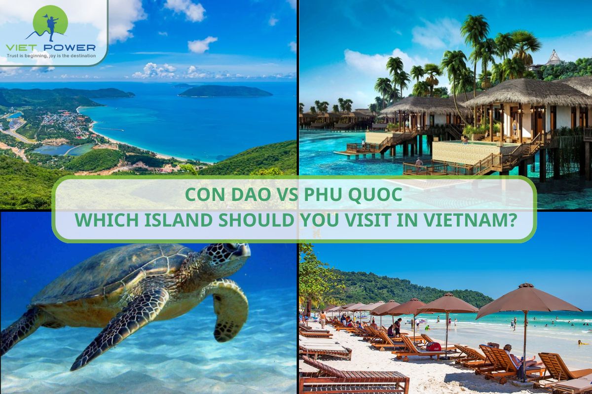 Con Dao vs Phu Quoc – Which Island Should You Visit in Vietnam?