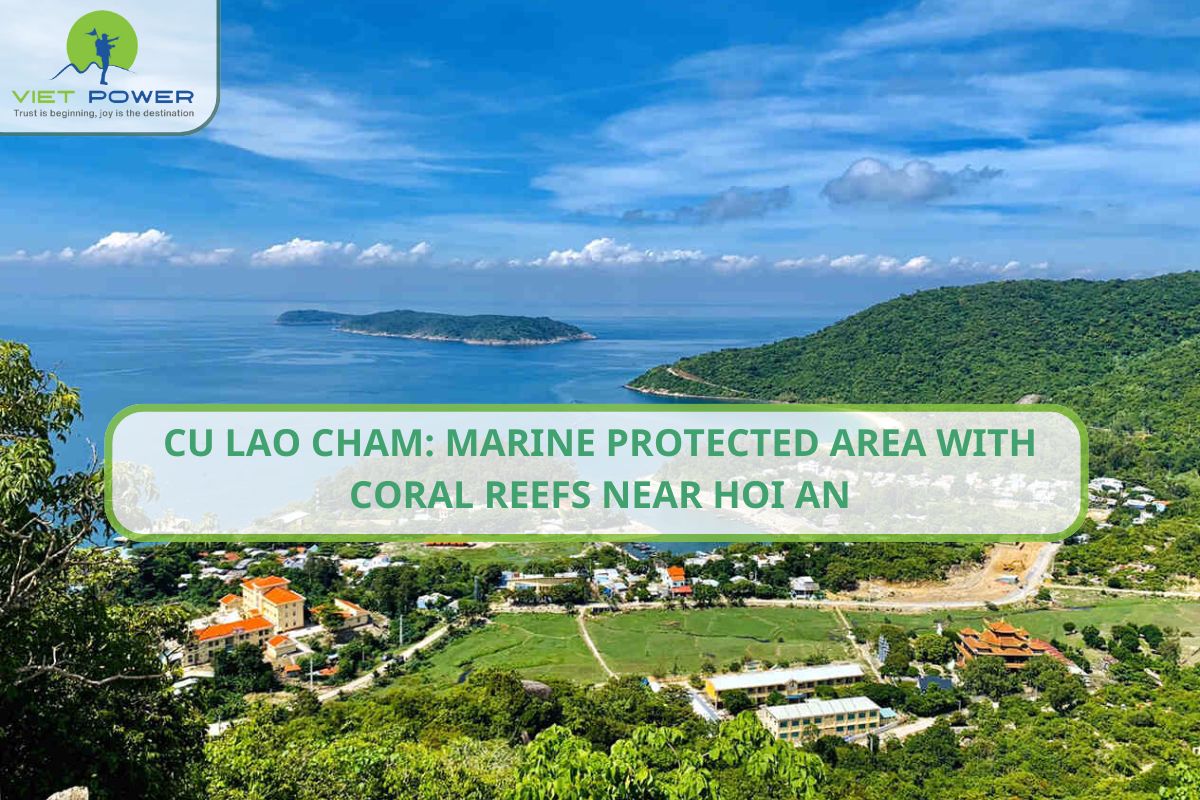 Cu Lao Cham: Marine Protected Area with Coral Reefs Near Hoi An