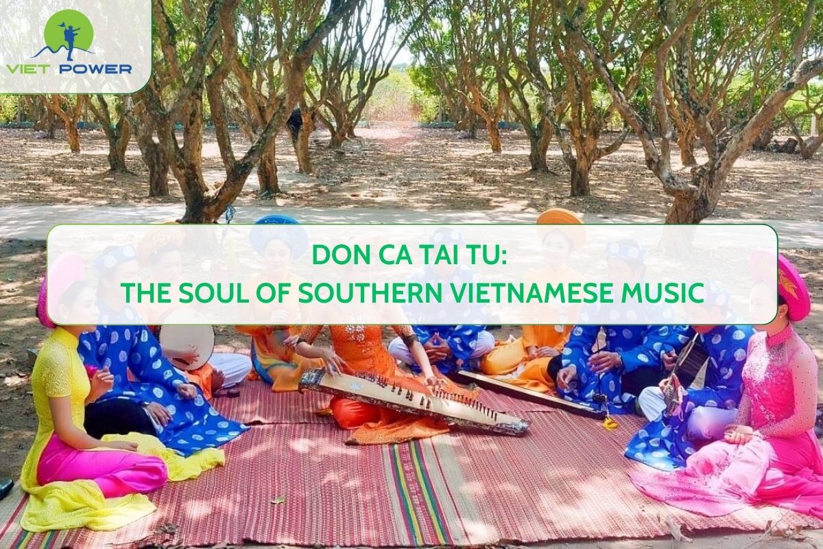 Don Ca Tai Tu: The Soul of Southern Vietnamese Music