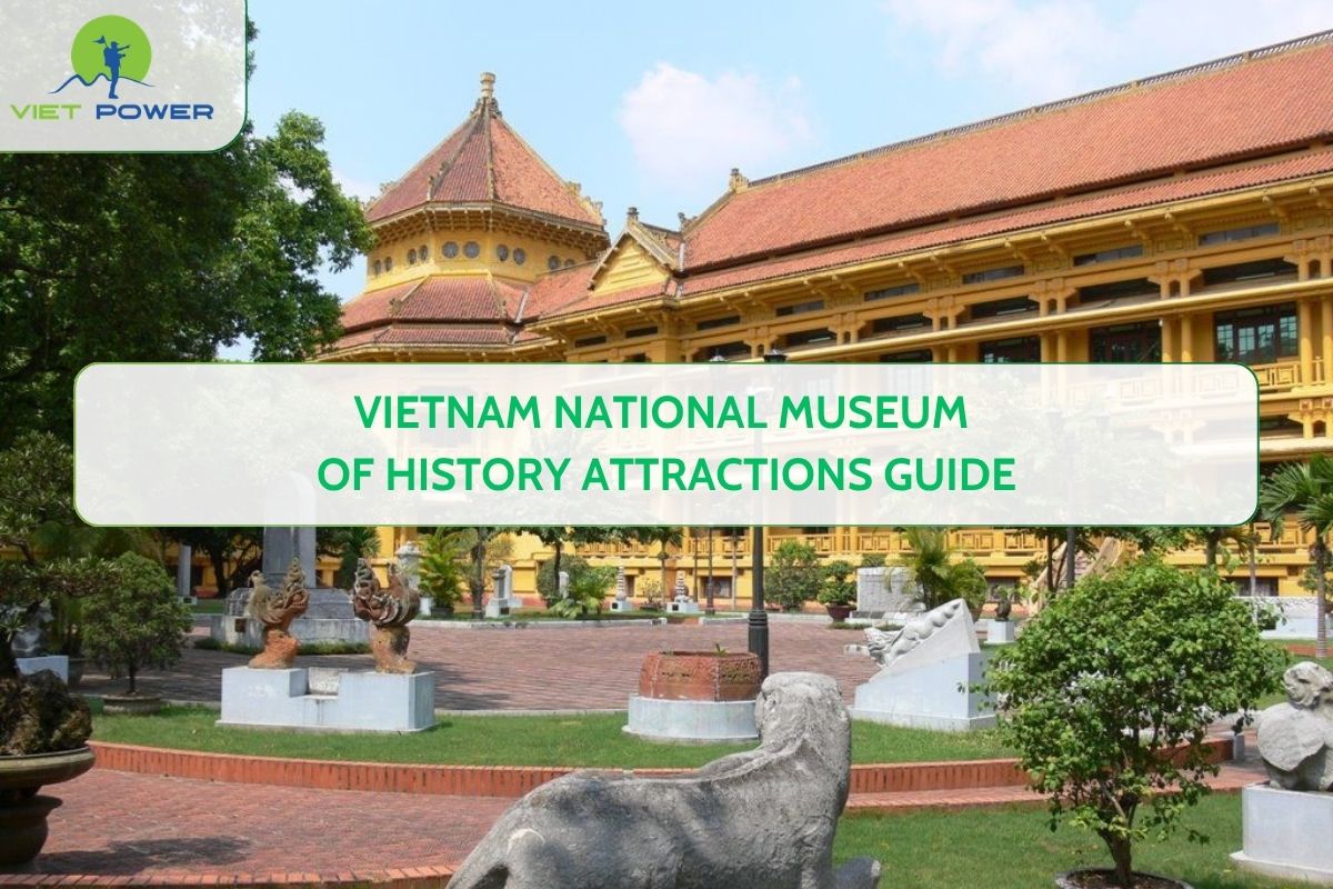 Vietnam National Museum of History Attractions Guide