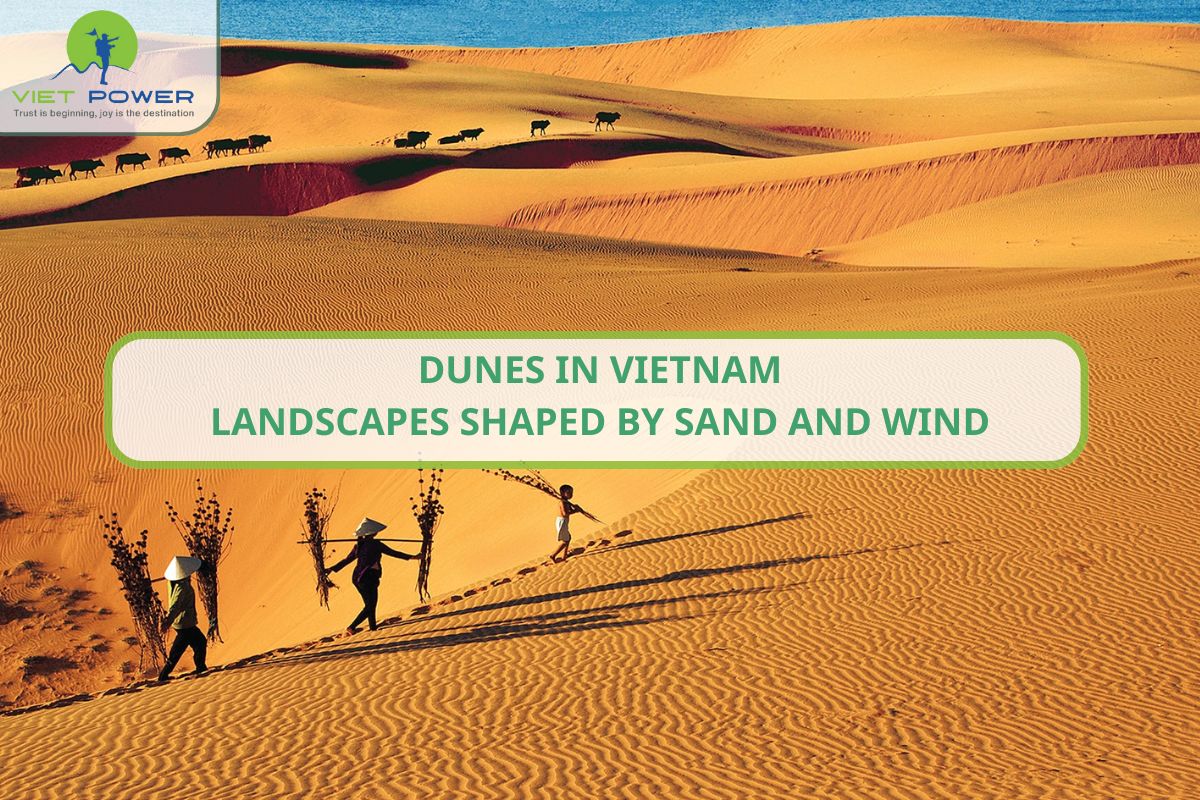 Dunes in Vietnam – Landscapes Shaped by Sand and Wind
