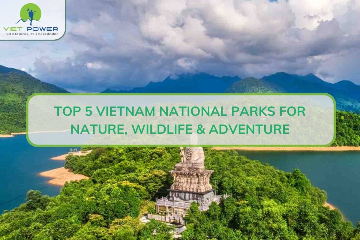 Top 5 Vietnam National Parks for Nature, Wildlife & Adventure